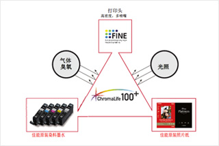 ChromaLife100+ - 締造照片持久美麗